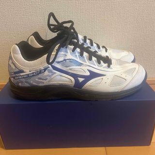 ミズノ(MIZUNO)のMIZUNO テニスジューズ メンズ 27.0(シューズ)