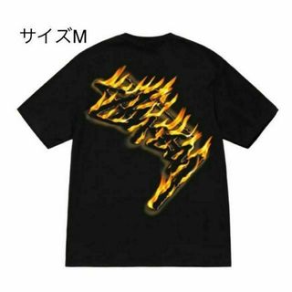 最終価格 stussy30周年コラボ　neighborhood TシャツLサイズ