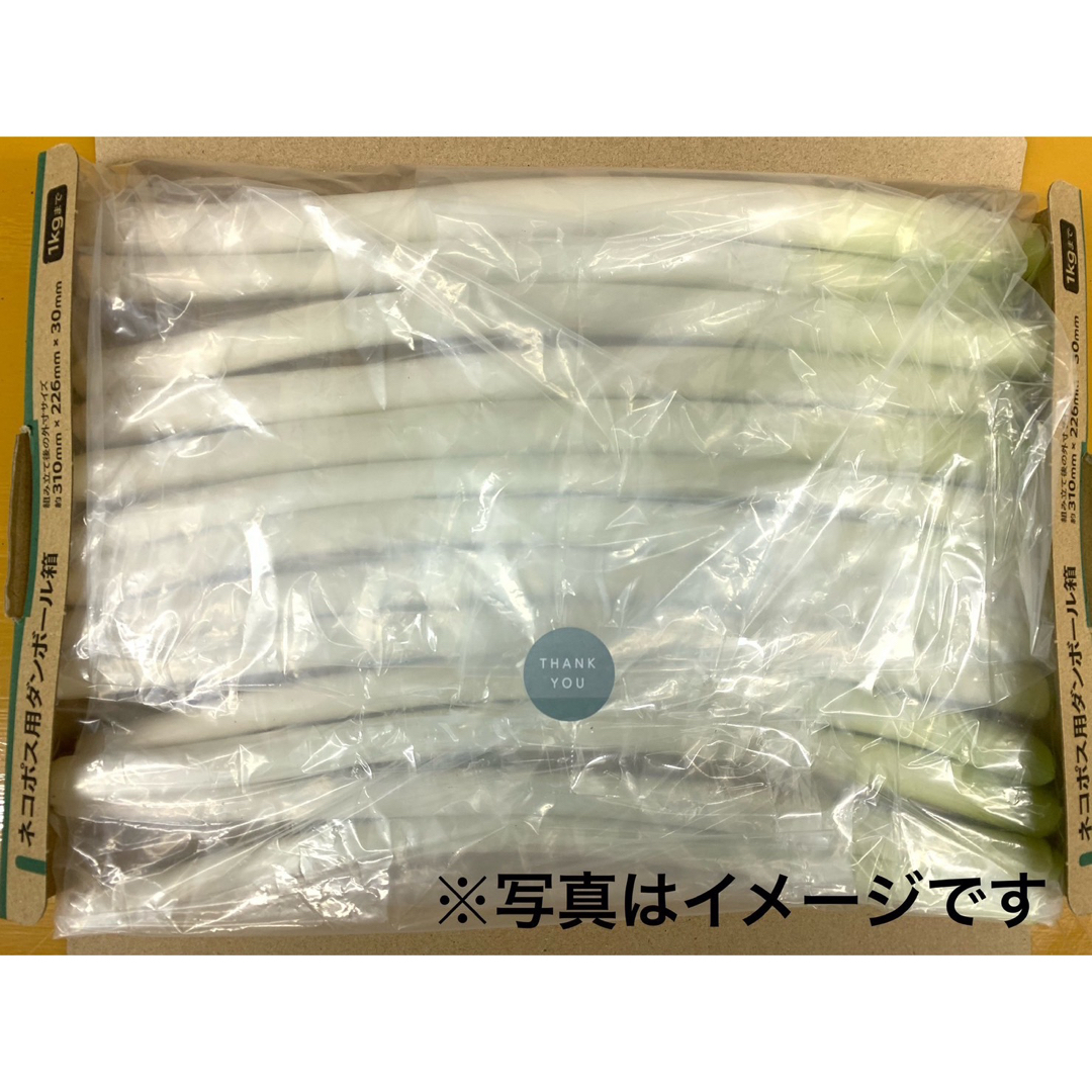 【1本あたり約¥60‼️訳あり長ネギ】青森県産　長ネギ　白ネギ 食品/飲料/酒の食品(野菜)の商品写真