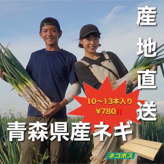 【1本あたり約¥60‼️訳あり長ネギ】青森県産　長ネギ　白ネギ(野菜)