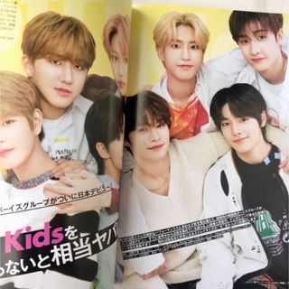 ストレイキッズ(Stray Kids)のスキズ　雑誌(アイドルグッズ)