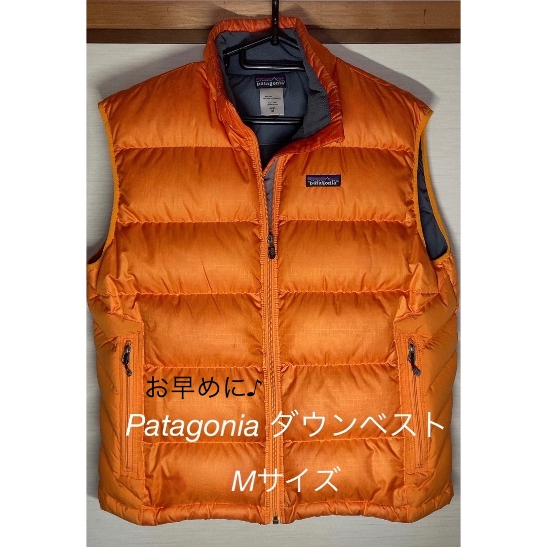 patagonia(パタゴニア)のPatagonia  ダウンベスト メンズのジャケット/アウター(ダウンベスト)の商品写真