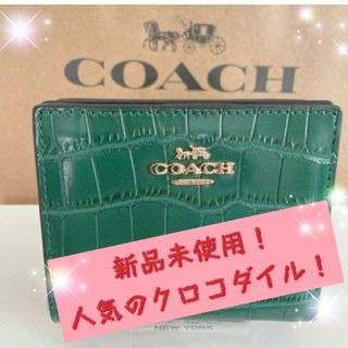 COACH コーチ クロコダイル 長財布 ターコイズ