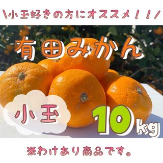 わけあり！和歌山 有田みかん 10kg 小玉 フルーツ 柑橘 ありだ ミカン(フルーツ)