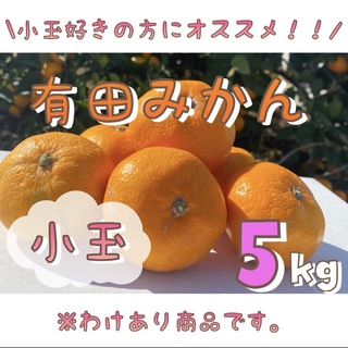 わけあり 和歌山 有田みかん 5キロ 小玉 フルーツ 柑橘 ミカン(フルーツ)