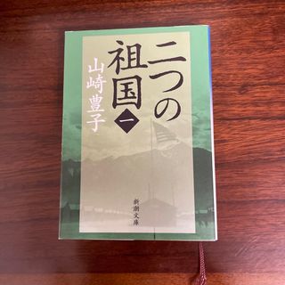 シンチョウブンコ(新潮文庫)の二つの祖国(その他)