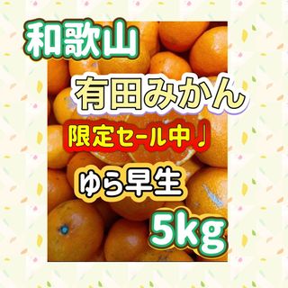 和歌山有田みかん ゆら早生5kg(フルーツ)