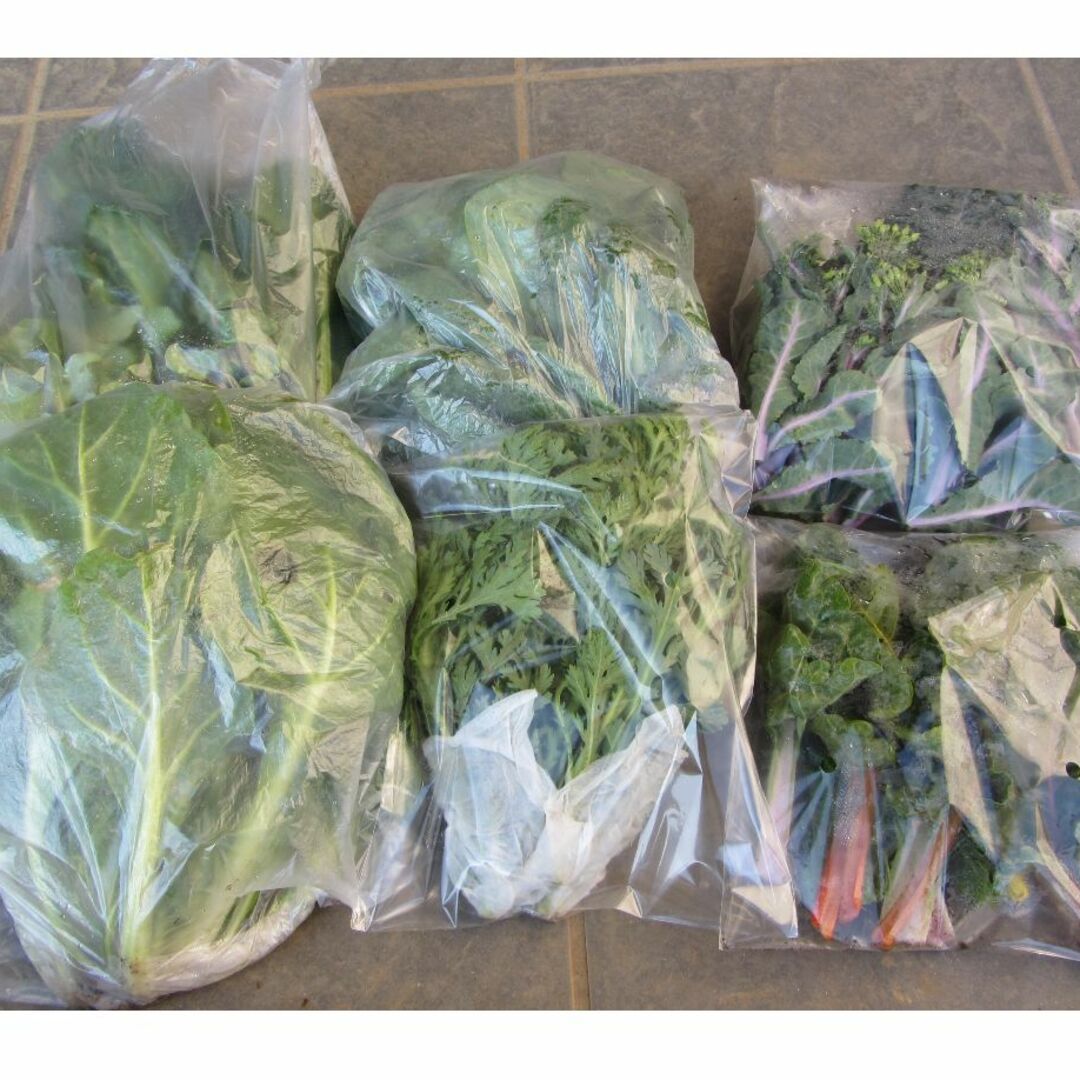 秋を感じる野菜セット　秋野菜詰め合わせ　８０サイズ　１１月１１日以降の発送 食品/飲料/酒の食品(野菜)の商品写真