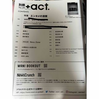 別冊＋act＊Vol.38(アート/エンタメ/ホビー)