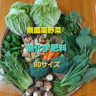 無農薬野菜　80サイズ　常温発送(野菜)