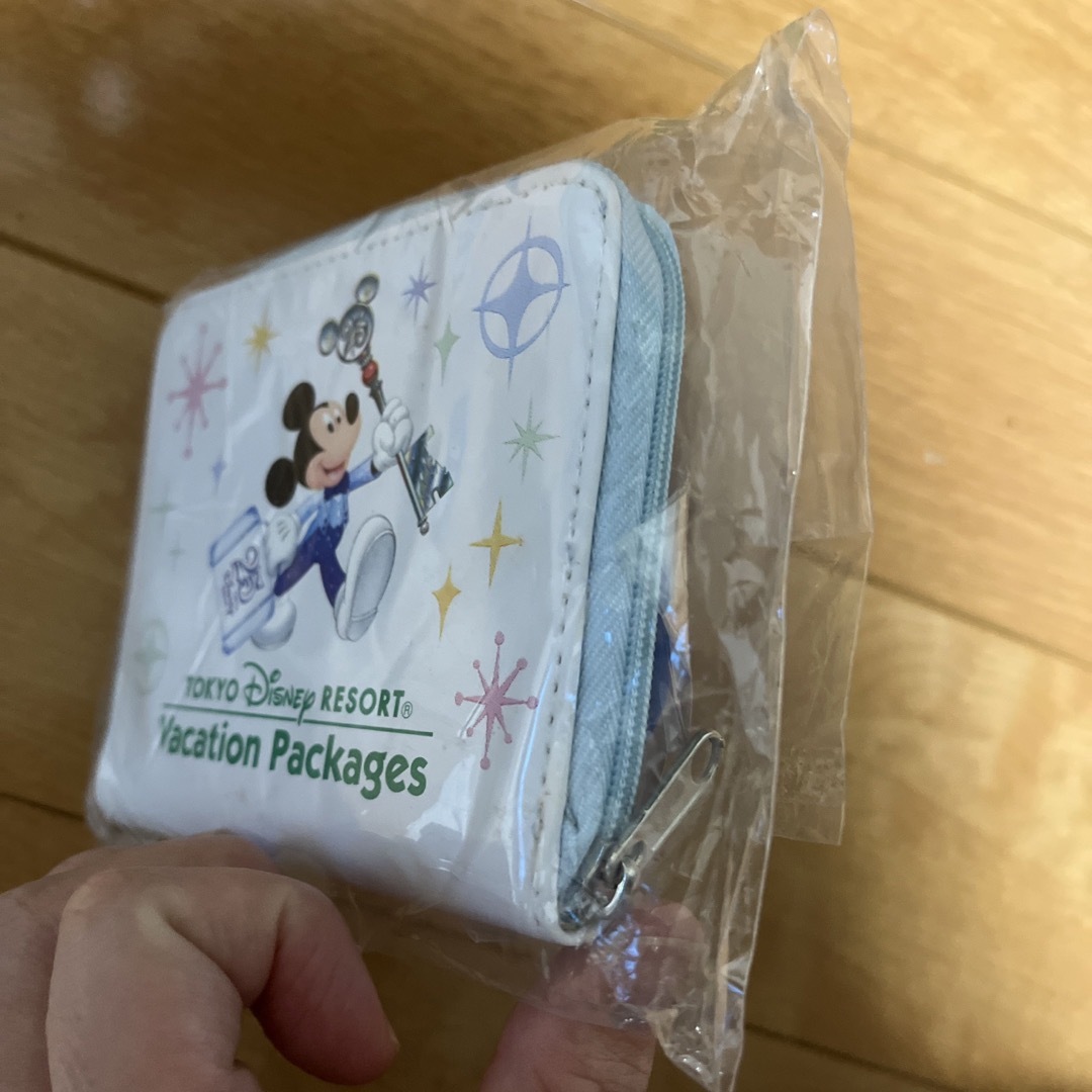 Disney(ディズニー)のディズニーリゾートバケーションパッケージ　新品 エンタメ/ホビーのおもちゃ/ぬいぐるみ(キャラクターグッズ)の商品写真