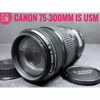 Canon   超望遠Canon kiss x2 ダブルズームセットド迫力W