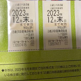 【いぬ様】近鉄株主優待乗車券（2枚）  2023年12月期限(鉄道乗車券)