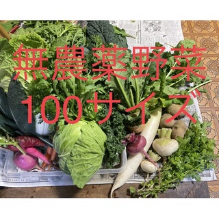 無農薬野菜詰め合わせ　(100サイズ)(野菜)