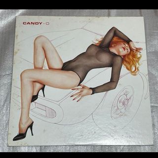 ザ・カーズ / キャンディー・オーに捧ぐ(CANDY-O) US盤LP(その他)