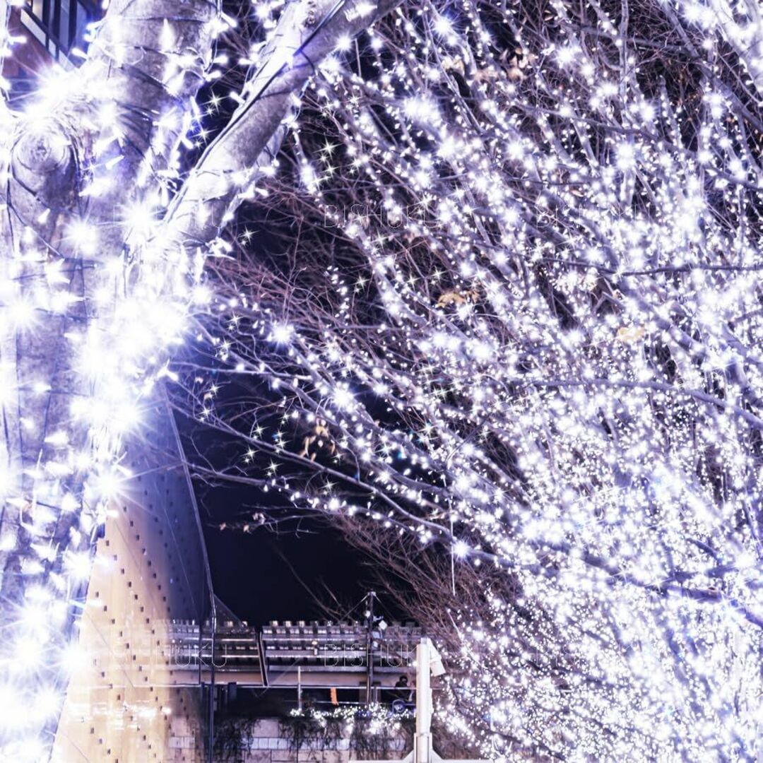 【色: ホワイト】日本市場向け ホテル装飾の輝き 丈夫 屋外 イベント 展示会