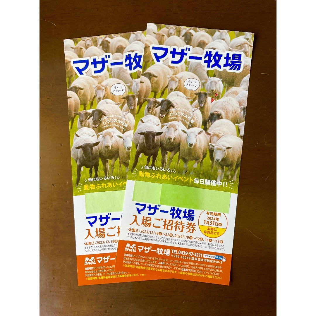 千葉県 マザー牧場 ◇ 入園券６セットです！◇ ’24 /１.31 迄