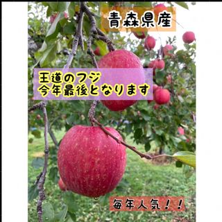 王道の林檎　ふじ　大人気　今年限定格安　農家直送　りんご(ふじ)　7〜8キロ(フルーツ)