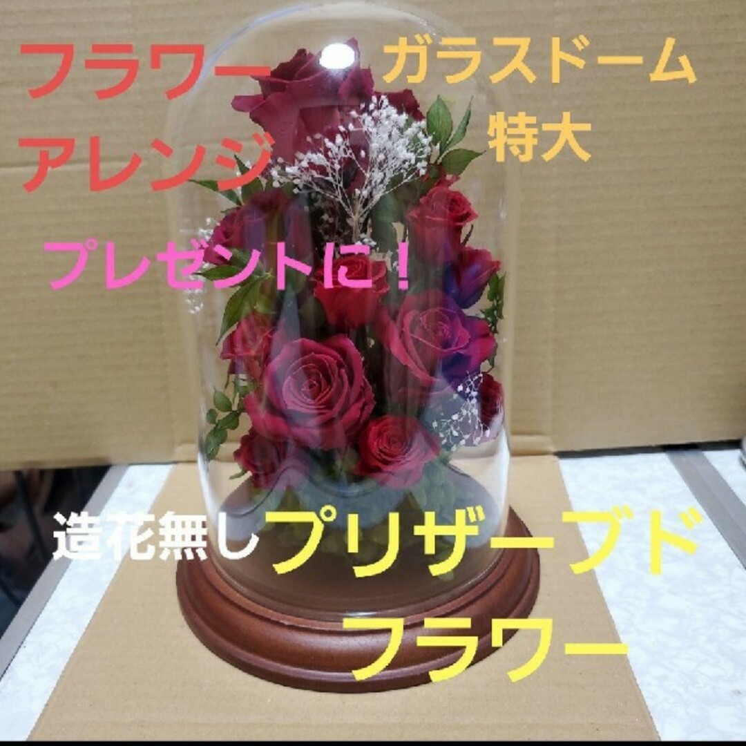 ハンドメイド プリザーブドフラワー ガラスドーム特大 フラワーアレンジ 造花無し | フリマアプリ ラクマ