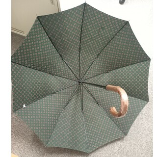 メンズ /大型傘 / 緑色にペイズリー柄(傘)