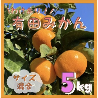 訳あり 和歌山 有田みかん 5キロ サイズ混合 フルーツ 柑橘 ミカン(フルーツ)
