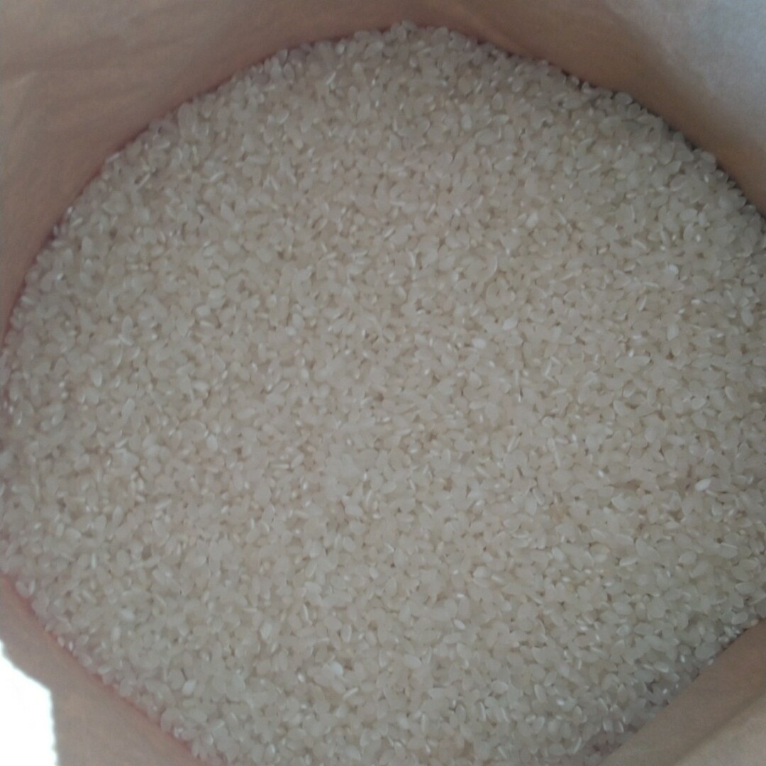 令和5年産新米栃木県特一等米コシヒカリ30キロ玄米無農薬にてつく上げた自慢のお米-