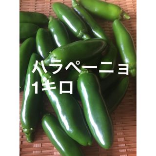 ハラペーニョ　1キロ　農薬不使用(野菜)