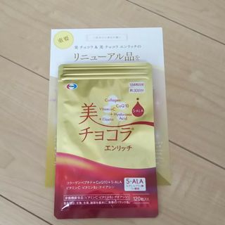 エーザイ　美チョコラ　エンリッチ　120粒