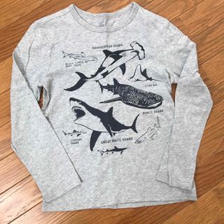 ギャップキッズ(GAP Kids)のギャップ　ロンT  140 男の子　シャーク(Tシャツ/カットソー)