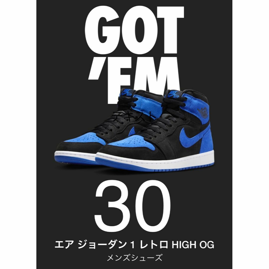 Nike Air Jordan 1 Retro High OG 30センチ