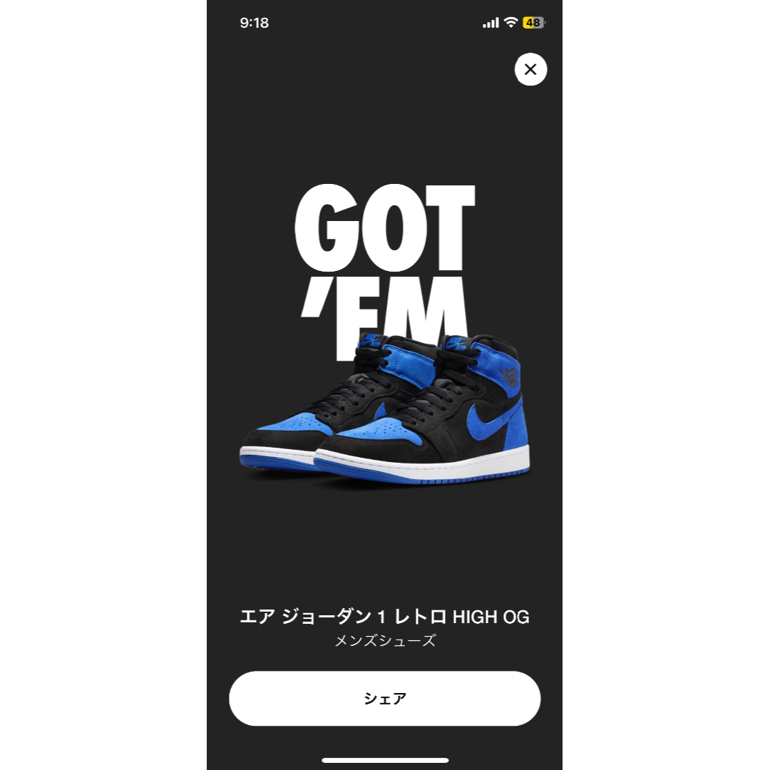 Nike Air Jordan 1 Low OG ３０センチ