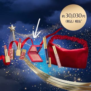 エスティローダー(Estee Lauder)の🎄みずきち様専用ページ(チーク)