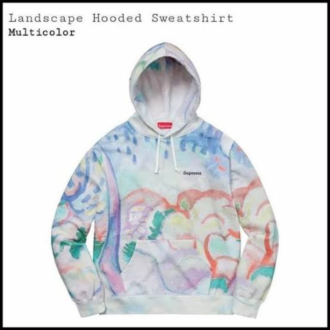 supreme Landscape Hooded Sweatshirt L