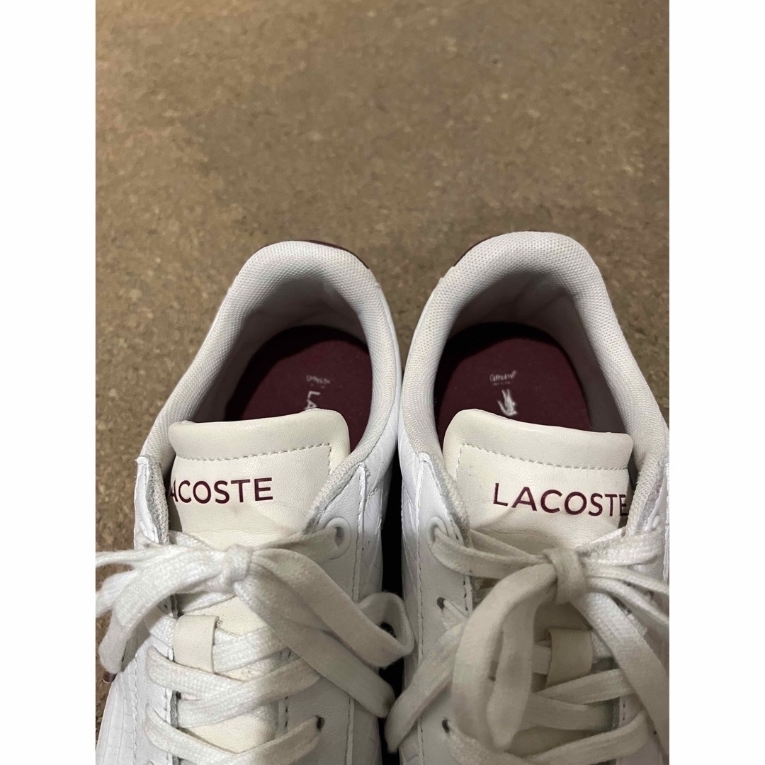 LACOSTE(ラコステ)のLACOSTE レザースニーカー メンズの靴/シューズ(スニーカー)の商品写真