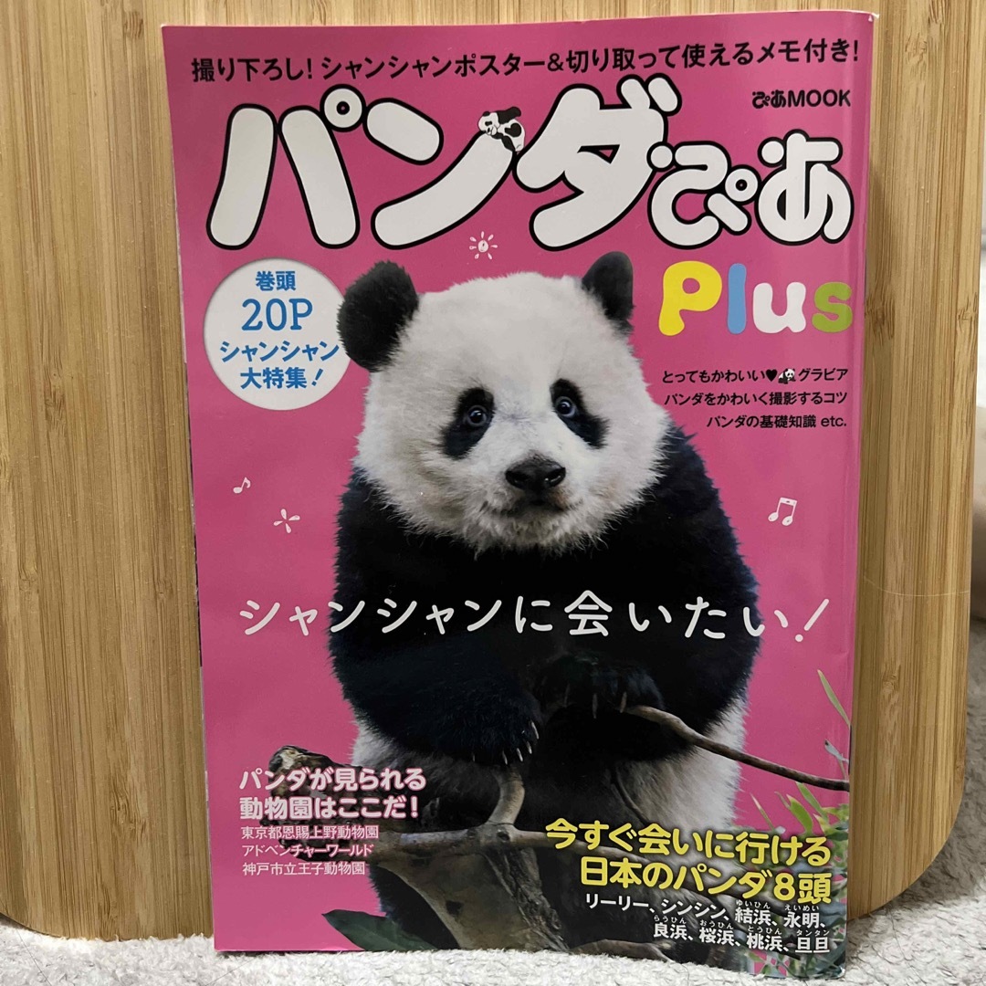 パンダぴあＰｌｕｓ エンタメ/ホビーの本(地図/旅行ガイド)の商品写真