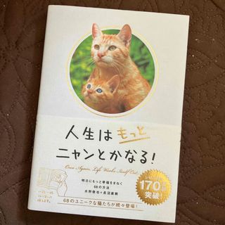 人生はもっとニャンとかなる！(その他)