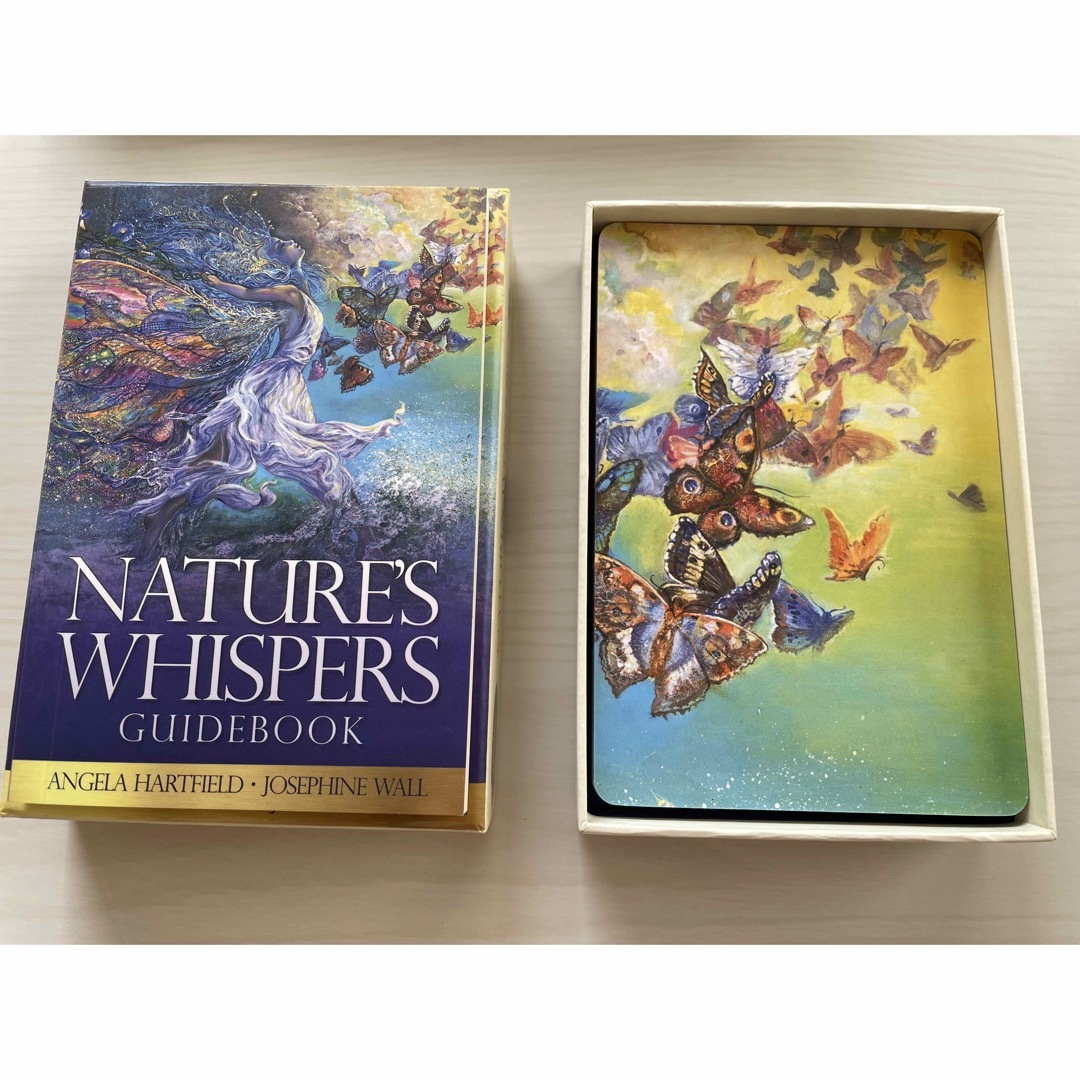 Nature'S Whispers Oracle Cards エンタメ/ホビーのエンタメ その他(その他)の商品写真