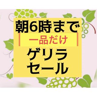 朝まで値下げ〜夏最後のめぐみ〜深江グリーンメロン　L〜2L  5玉(フルーツ)