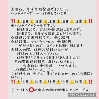 即購入❌⑰検診記録シール☆300円♥️定期検診、身体測定、母子手帳、成長記録