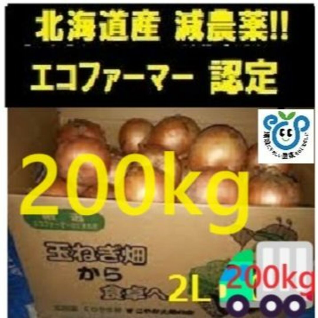 北海道産 玉ねぎ 200kg 2Lサイズ 食品/飲料/酒の食品(野菜)の商品写真
