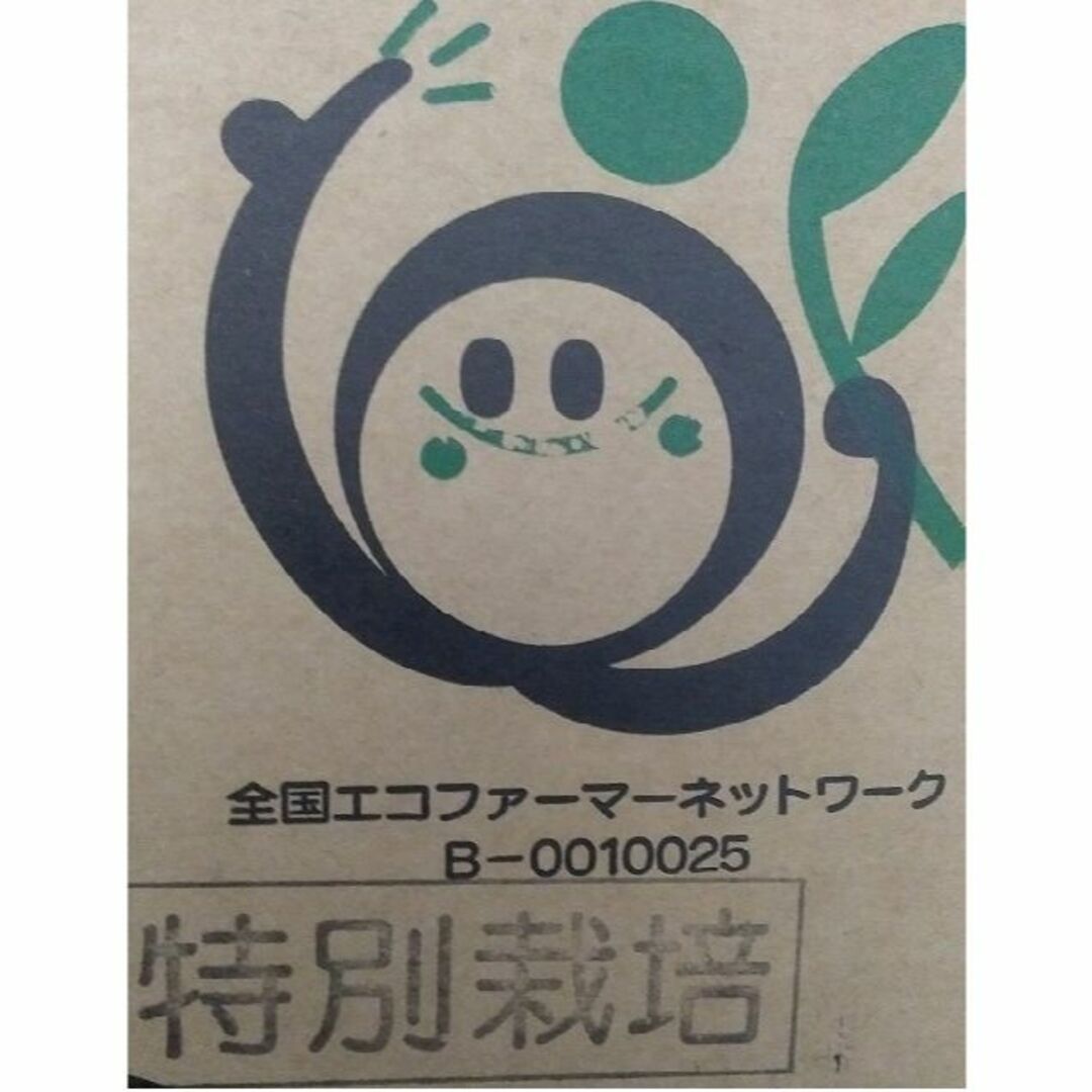北海道産 玉ねぎ 200kg 2Lサイズ 食品/飲料/酒の食品(野菜)の商品写真