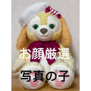 DOUBLE.B - 値下げ 未使用品 ミキハウス ダブルB トコトコ Bくん ...