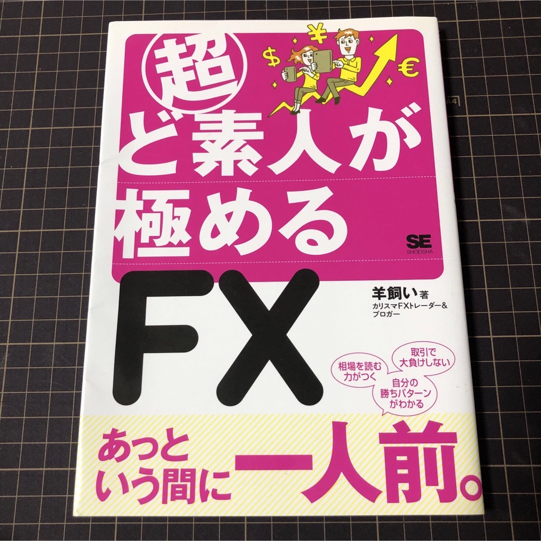 翔泳社(ショウエイシャ)の超ど素人が極めるFX エンタメ/ホビーの本(ビジネス/経済)の商品写真