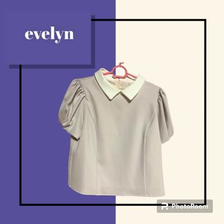 エブリン(evelyn)の【evelyn】新品未使用　襟付き トップス(カットソー(半袖/袖なし))