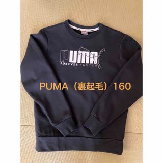 プーマ(PUMA)のPUMAトレーナー160CM （裏起毛）(その他)