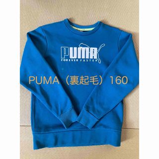 プーマ(PUMA)のPUMAトレーナー　160CM （裏起毛）(Tシャツ/カットソー)