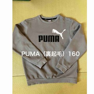 プーマ(PUMA)のPUMAトレーナー160cm キッズ（裏起毛）(Tシャツ/カットソー)