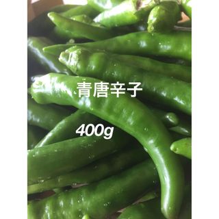 青唐辛子　400g   おまけ付き　農薬不使用(野菜)