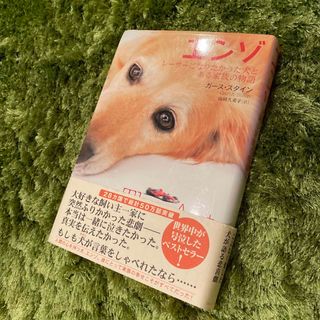 エンゾ　レーサーになりたかった犬とある家族の物語(文学/小説)