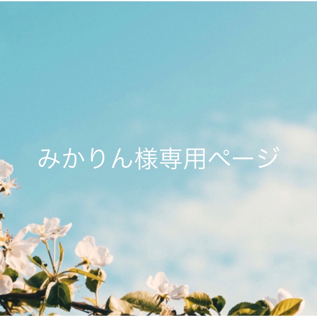 みかりん様専用ページの通販 by pika's shop|ラクマ